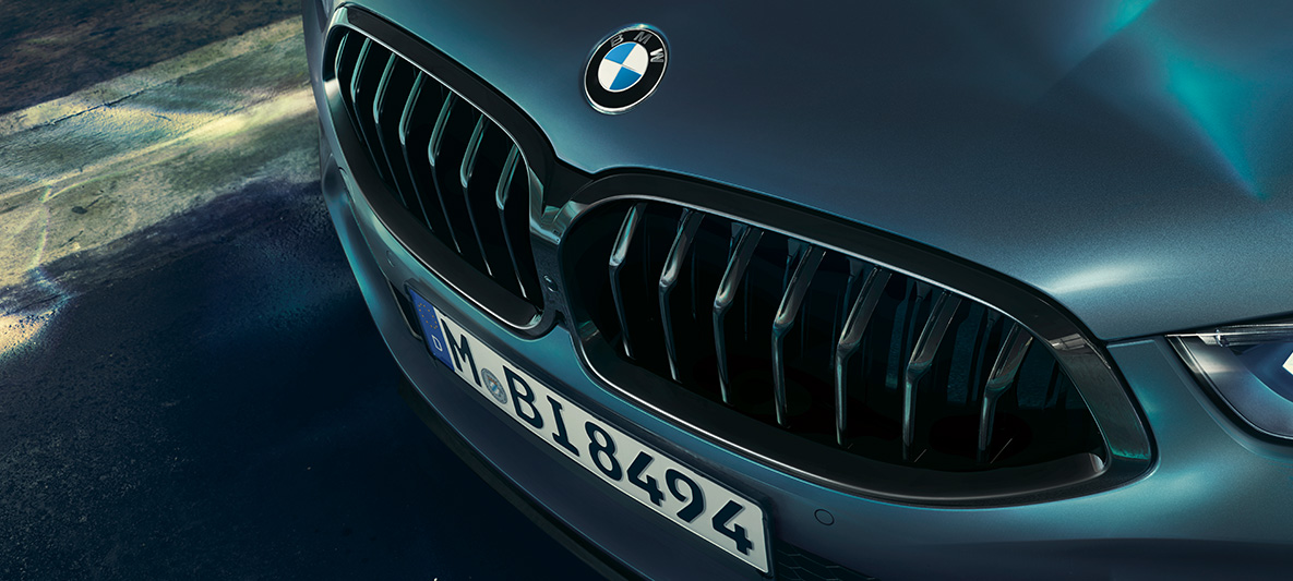 BMW M850i Coupé First Edition, BMW elipsveida režģis BMW M850i Coupé First Edition BMW elipsveida režģa tuvplāns
